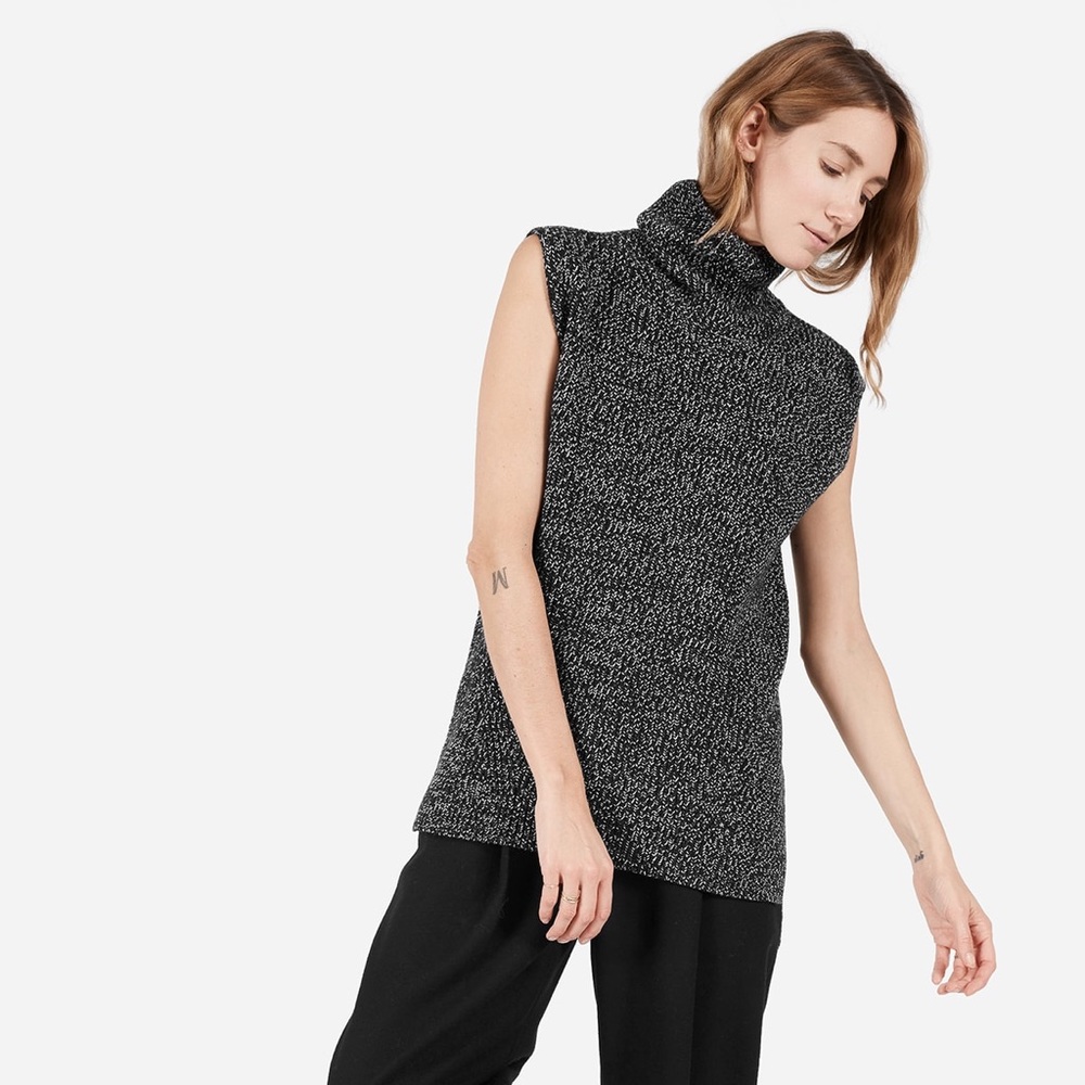 Everlane Chunky Wool Turtleneck